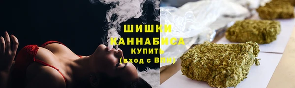 стафф Новозыбков
