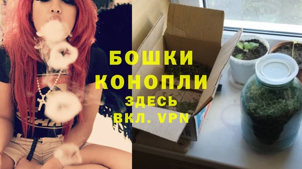 стафф Новозыбков
