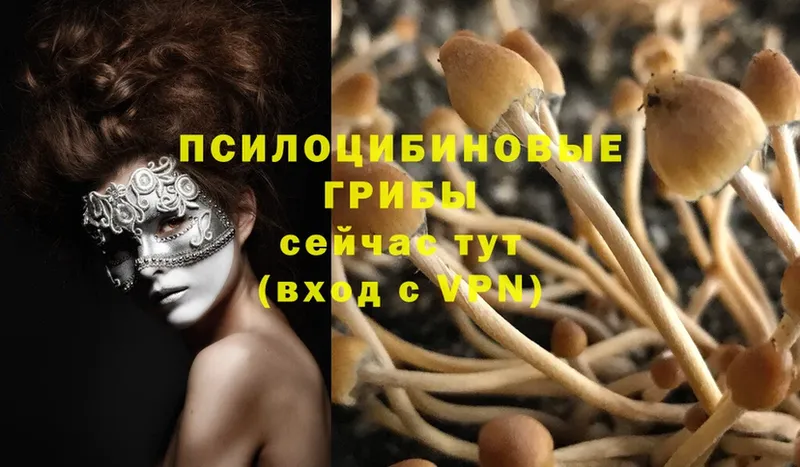 Галлюциногенные грибы Magic Shrooms  Раменское 