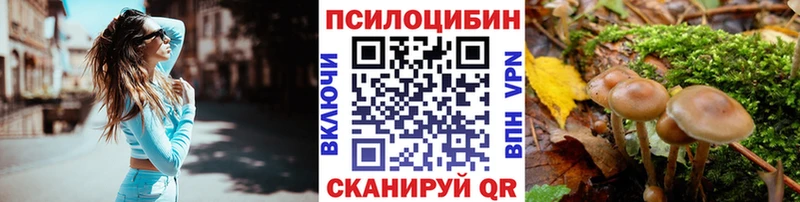 Галлюциногенные грибы мицелий  купить закладку  Раменское 