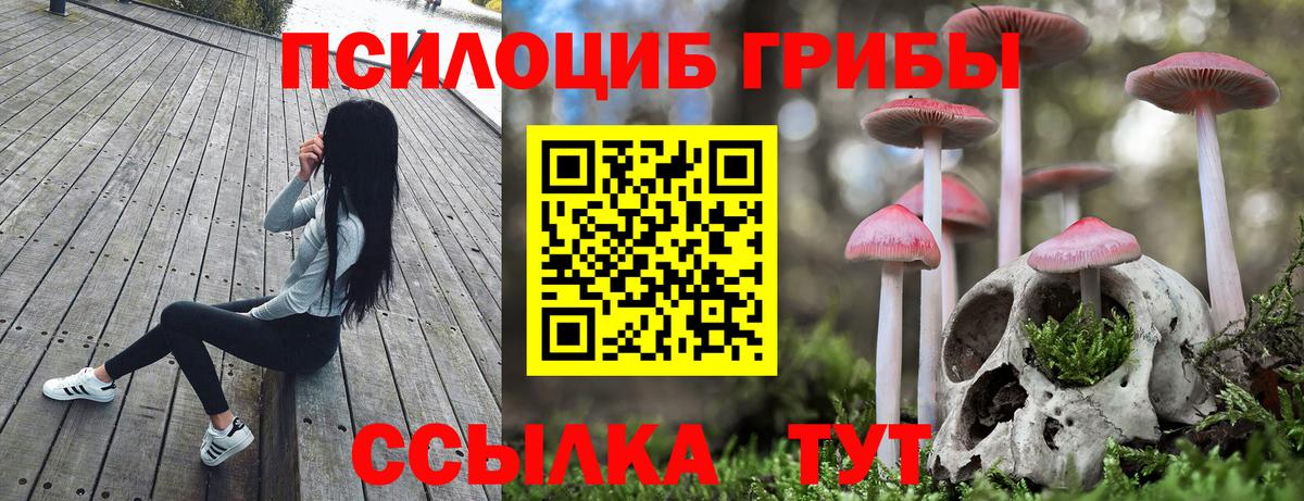 Галлюциногенные грибы Magic Shrooms Раменское