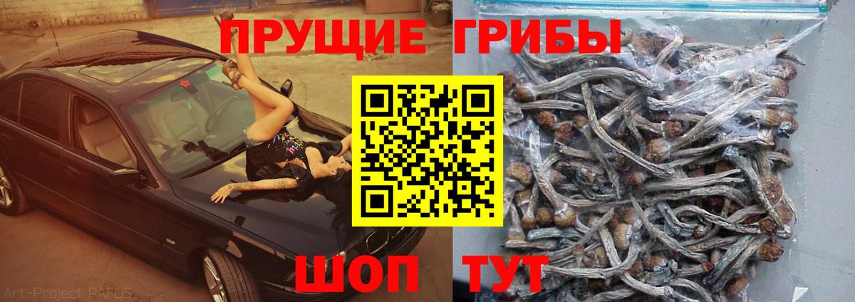 где купить наркоту  Псилоцибиновые грибы ЛСД  Вход с VPN  Раменское 