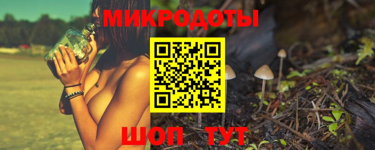 Псилоцибиновые грибы прущие грибы Раменское
