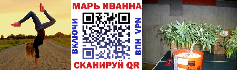 где купить наркоту  Раменское  Канабис сатива 